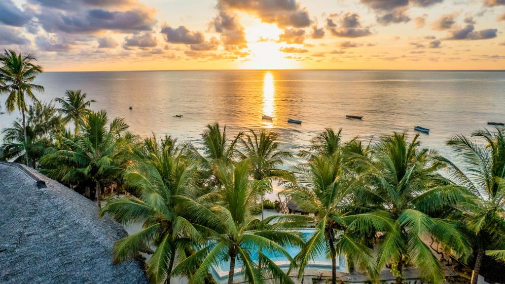 an aerial view of a beach with palm trees at sunset at Villa Juliana in Jambiani