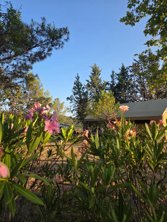 a garden with pink flowers in the foreground at Camping Onlycamp de Boucocers in Lagrasse
