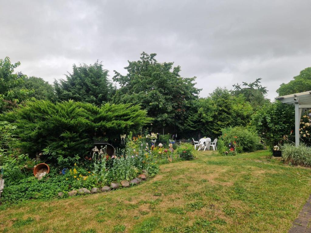 a garden with flowers and plants in a yard at Hennickes Fewo in Friedrichshof