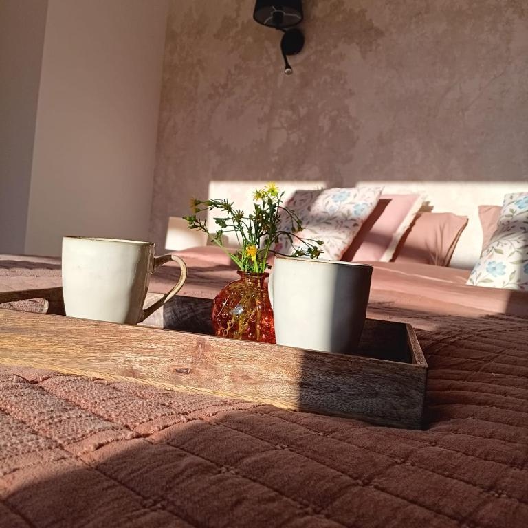 two cups on a wooden tray on a bed at Gîte Entre Semois et Forêt in Chiny