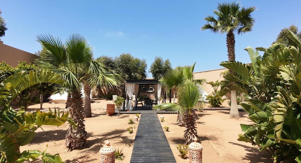 a house with palm trees and a wooden walkway at TigerLounge in Douaïra