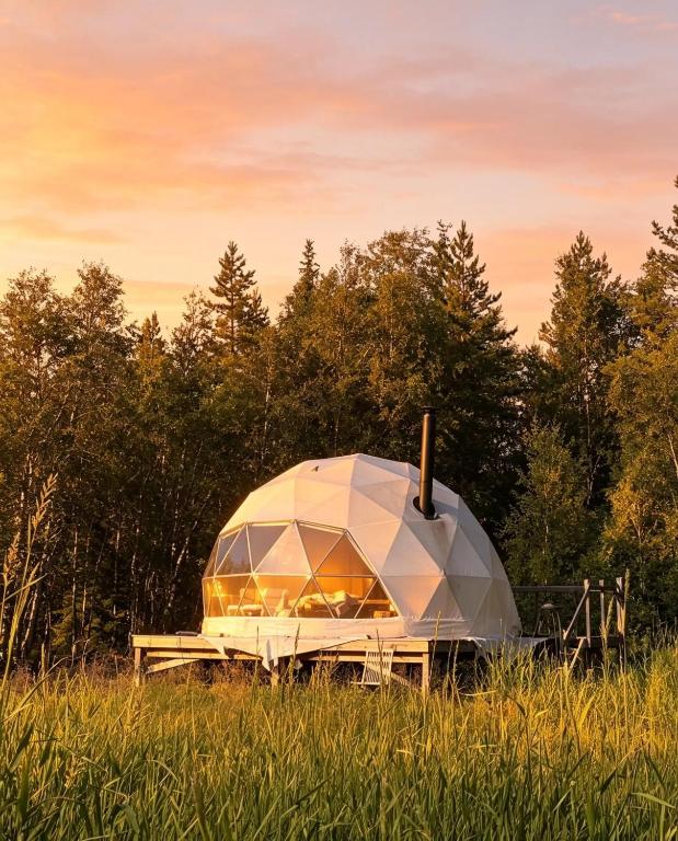 a large dome tent sitting in a field of grass at Trysil Glamping in Trysil