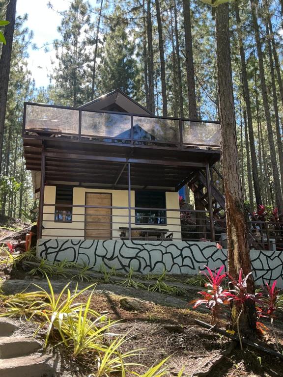 a house in the woods with a glass roof at Jeden Glass House Mountain View in Canayan