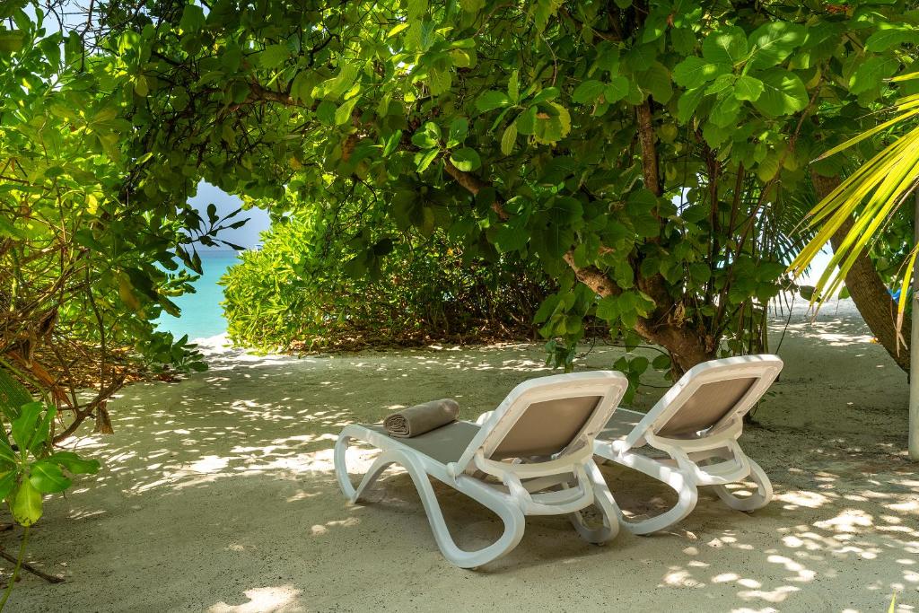 Niva Kuramathi Maldives - View 30