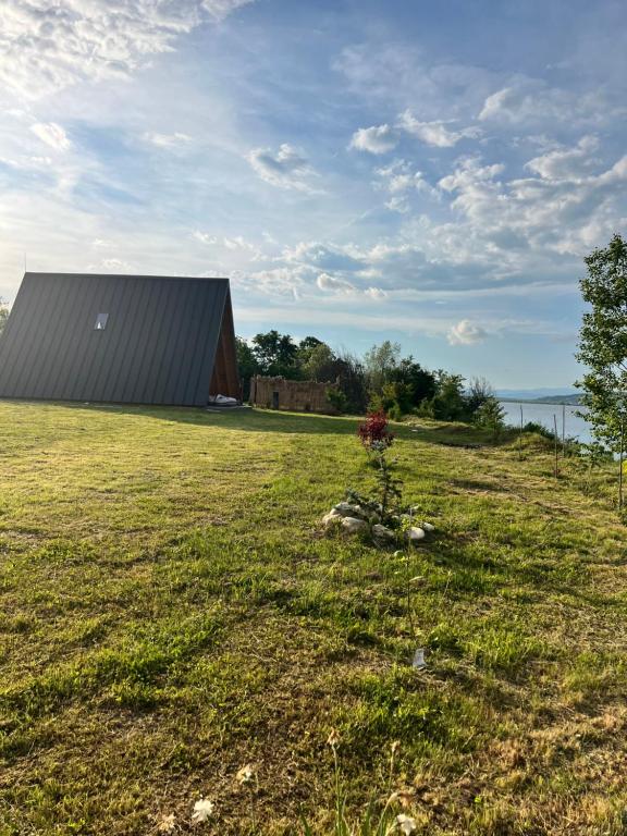 a building in a field with a plant in the grass at ValceleLakeRetreat in Merişani