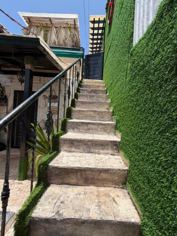 a stairway leading up to a green wall at Valle Encantado in Pantoja