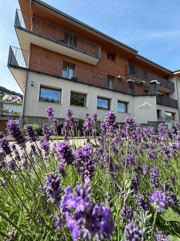 a field of purple flowers in front of a building at Baita Fanti Ski & Bike in Bormio