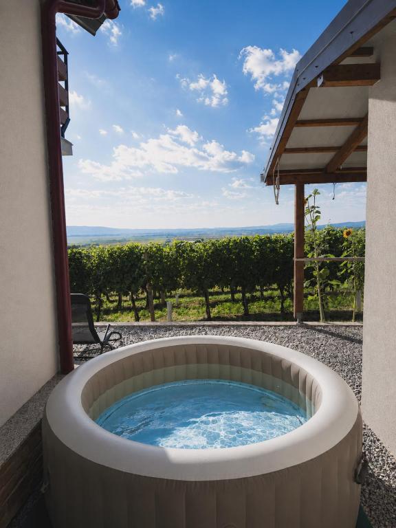 a hot tub in a patio with a view at Kuća za odmor Baron in Kutjevo