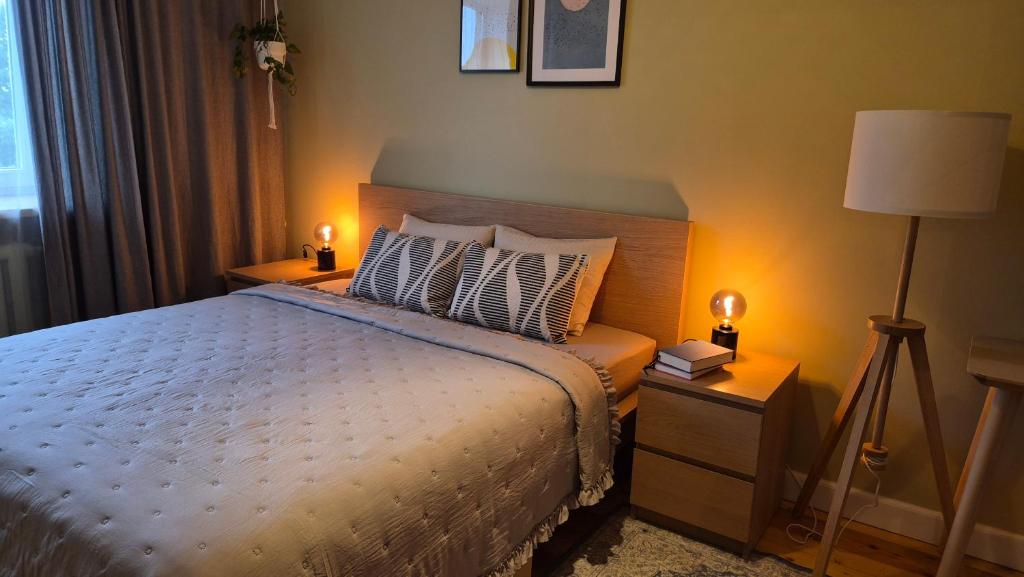 a bedroom with a bed with lights on it at Tulasi homestay in Madona