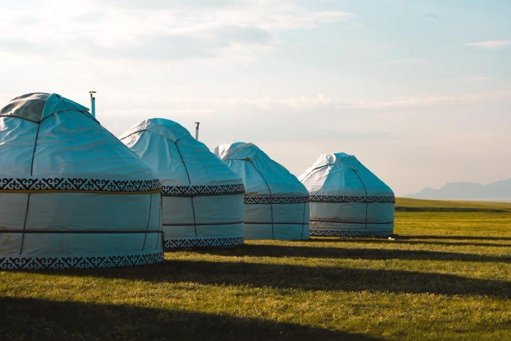 a row of domes in the middle of a field at BooGoo yurt camp in Song-Kul