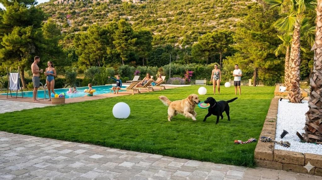 two dogs playing with a frisbee in a park at De Sio Country Village in Peschici