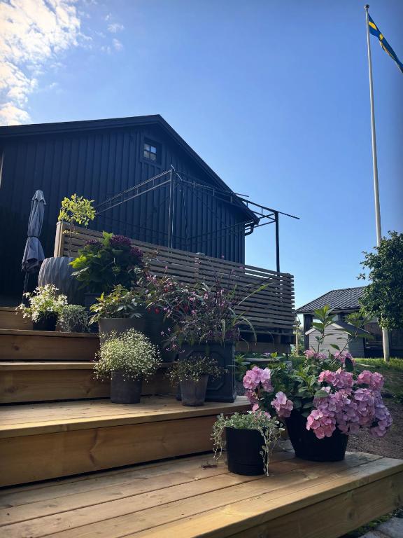 a bunch of potted plants sitting on a deck at Kanalhuset in Tvååker