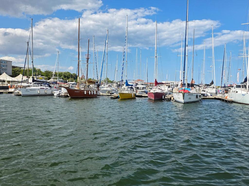 a bunch of boats docked in a harbor at Villa Violand 2 in Limanu