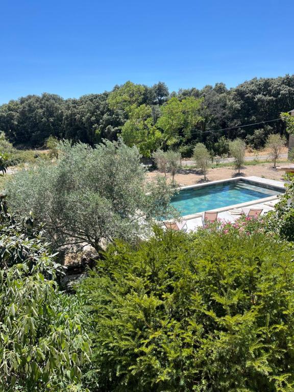 a swimming pool in the middle of some trees at Mas Belvega in La Baume-de-Transit