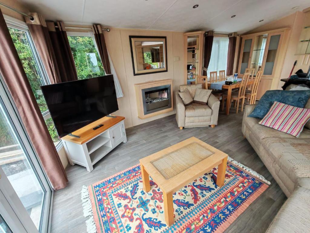 a living room with a couch and a tv at Winnie the Mobile Home in Galway