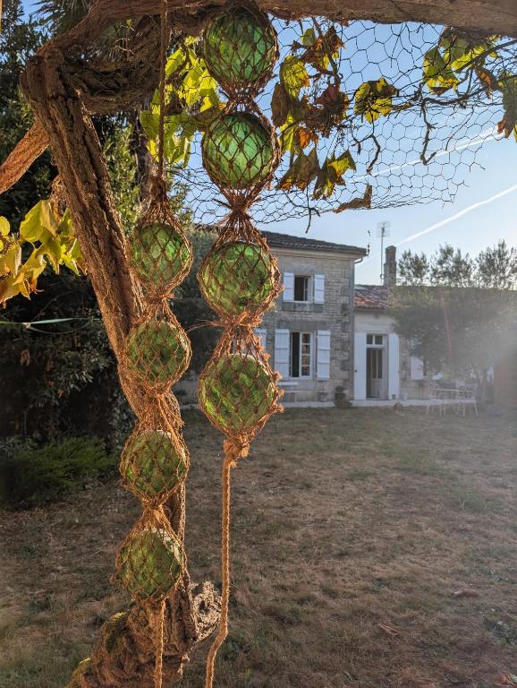 a chain link fence with a house in the background at Maison Flora Saint Jean d'Angely in Vervant