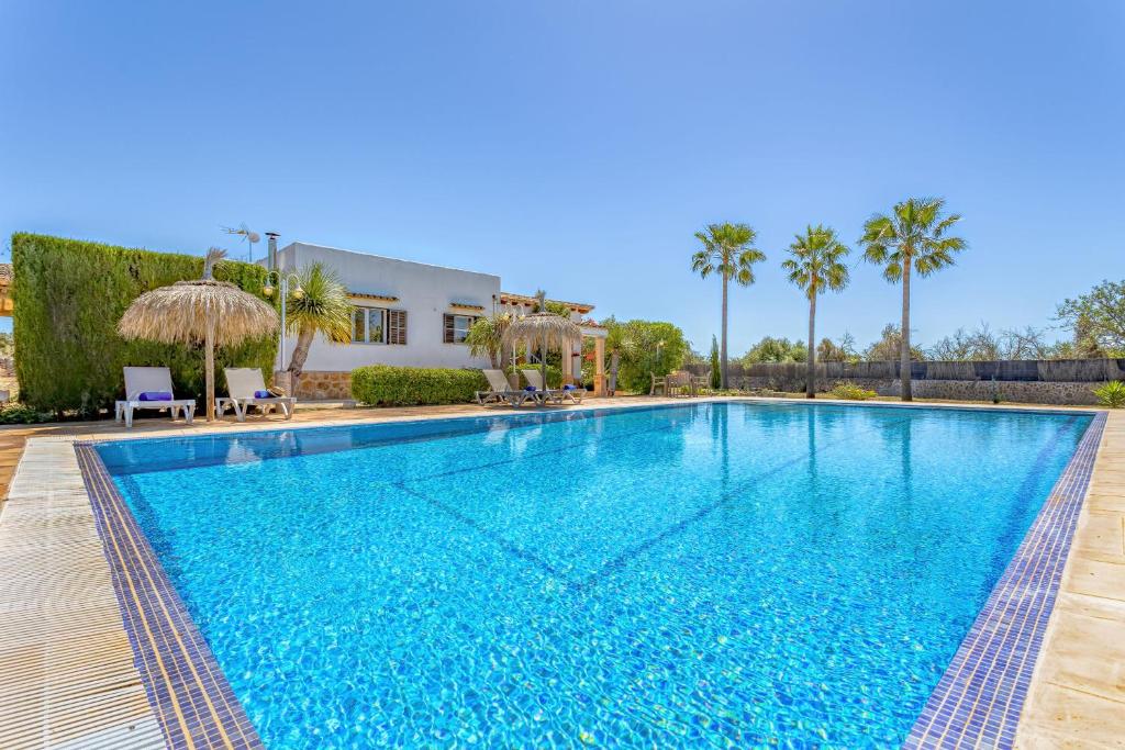 a swimming pool in front of a house with palm trees at Chalet Irene by dracmallorca in Santanyi