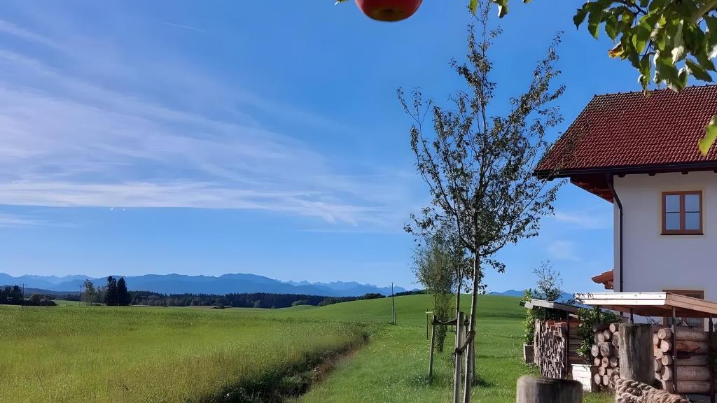 a house in the middle of a green field at Kramerhof - Ferienwohnung Wallberg in Aufhofen