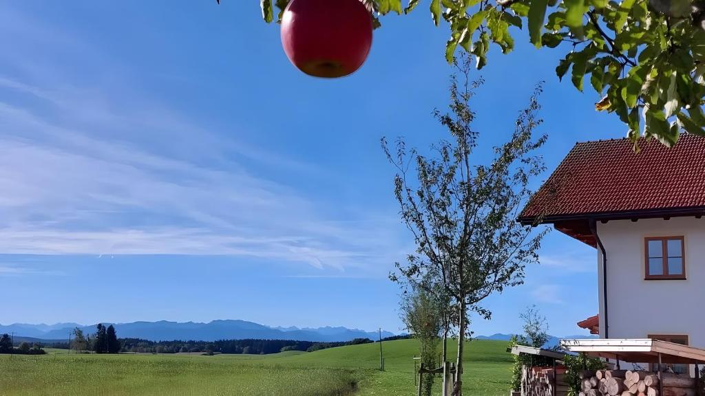 a apple hanging from a tree next to a house at Kramerhof - Ferienwohnung Zugspitze in Aufhofen