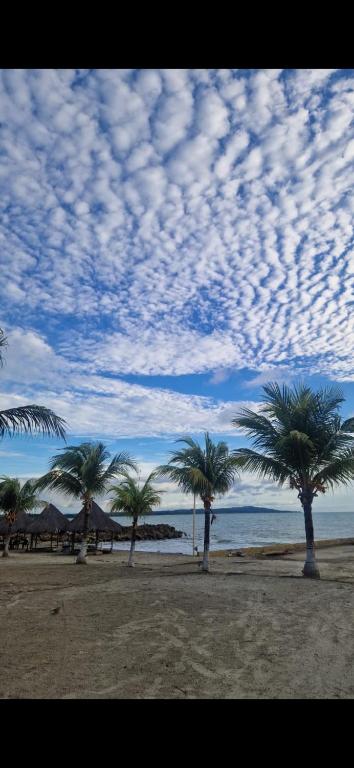 a group of palm trees on a beach with a cloudy sky at Atardeceres in Puerto Rey