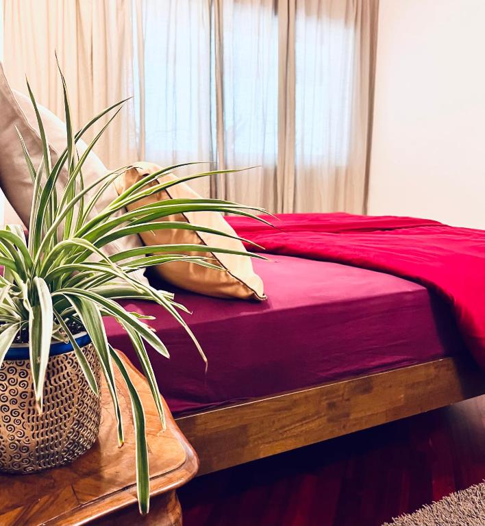 a bedroom with a potted plant sitting next to a bed at Lanas place in Ljubljana