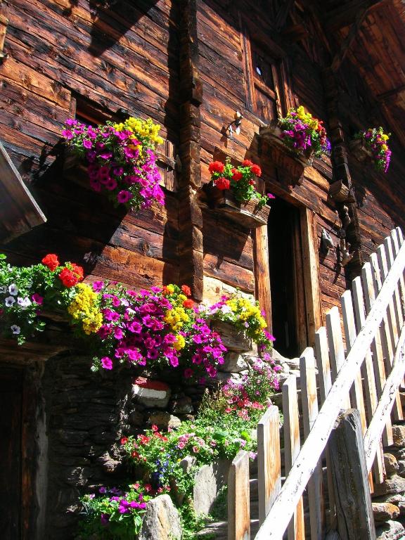 Zahrada ubytování Pension Morenfeld