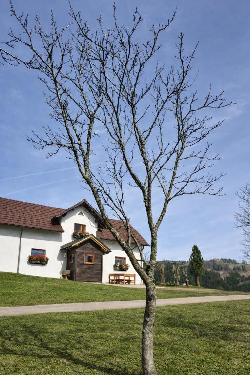 a tree in front of a white house at Haarstubenhäusl Glückskäfer in Frankenfels