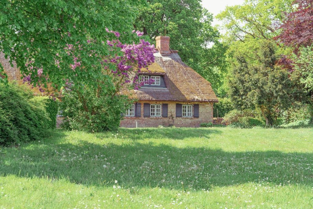 an old brick house in a field of grass at Ferienwohnung Blücherkate I - Boldevitzer Rügenkaten in Parchtitz