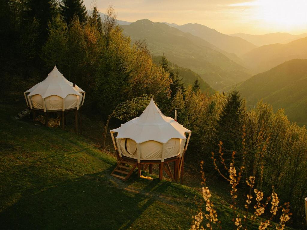 two tents in a field with mountains in the background at Glamping Tago in Khulo