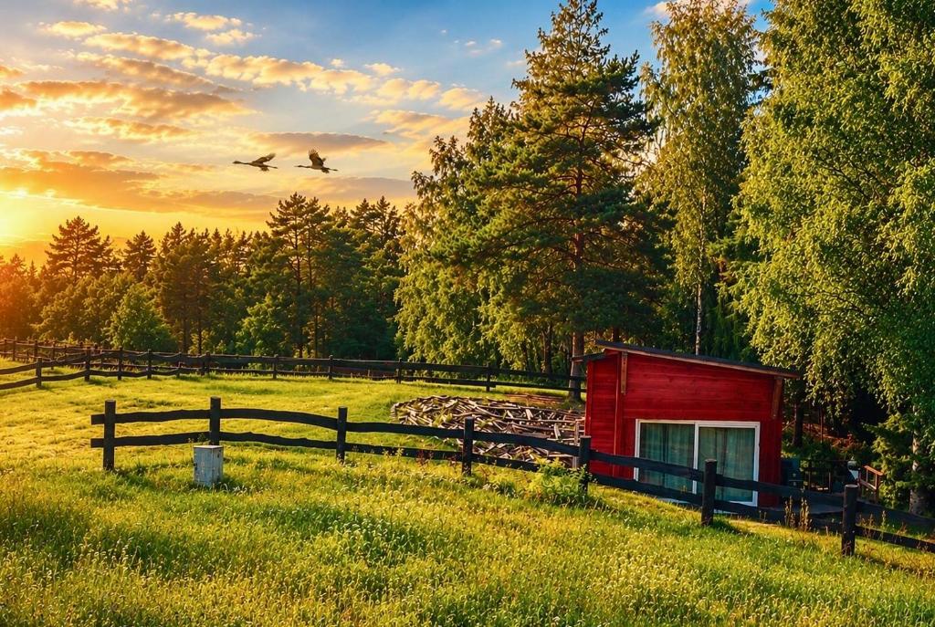 a red shed in a field with a plane flying overhead at W lesie nad rzeką in Rolbik