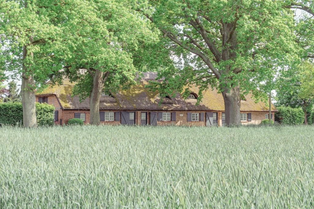 a house with a field of grass and trees at Ferienwohnung Blücherkate II - Boldevitzer Rügenkaten in Parchtitz