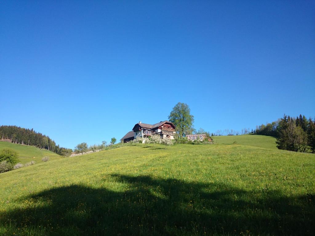 una casa in cima a una collina erbosa di BIO-Bauernhof Kurzeck a Göstling an der Ybbs