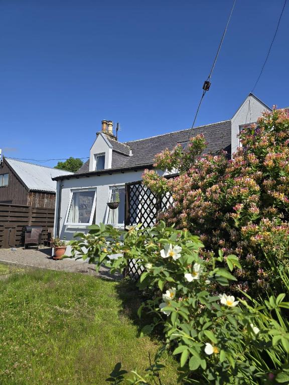 a house with a bunch of flowers in the yard at 3BR Cottage with Garden, Free Parking for 6 Guests in Alness
