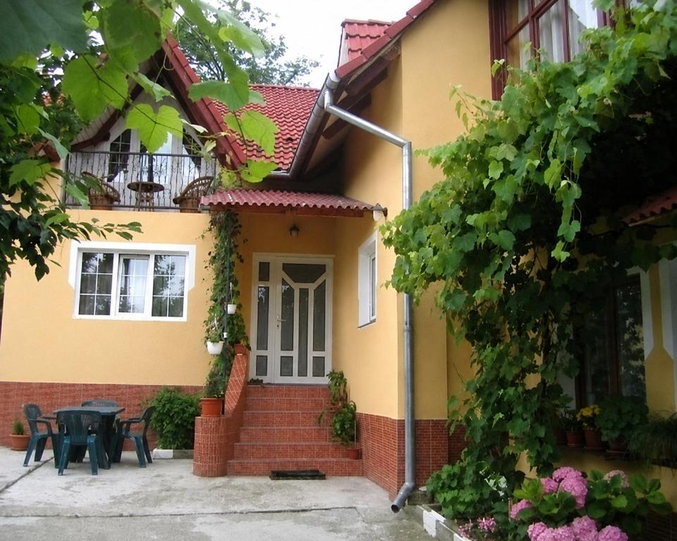 a house with a patio and a table in front of it at Vila Simona in Călimăneşti