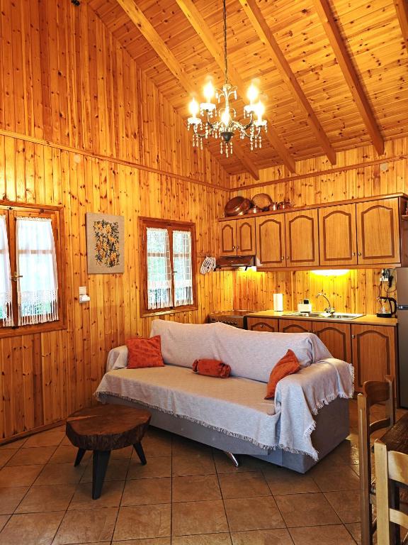 a living room with a couch in a wooden room at Mountain Nook Melissourgoi in Melissourgoí