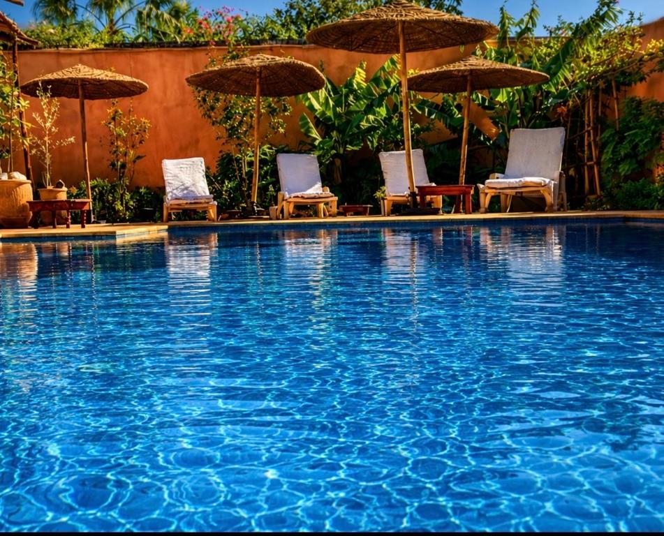a large swimming pool with chairs and umbrellas at Riad Aïcha Addi Pool & Hammam in Essaouira