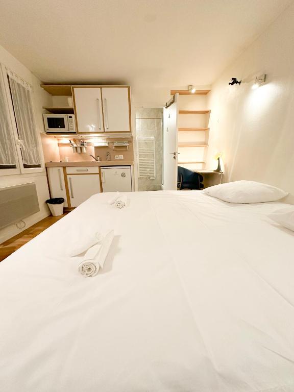 A Comfortable Apartment in Downtown Paris
