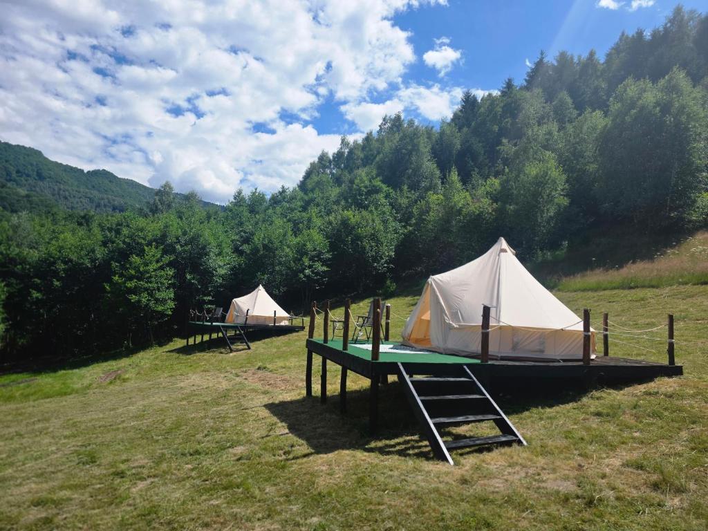 a couple of tents in a field with trees at Camping Inima Retezatului in Nucşoara