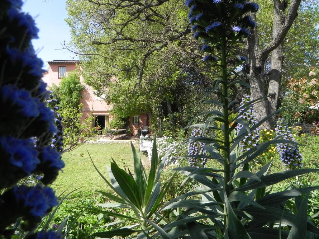 Zahrada ubytování B&B Le clos des vignes Saint Raphael