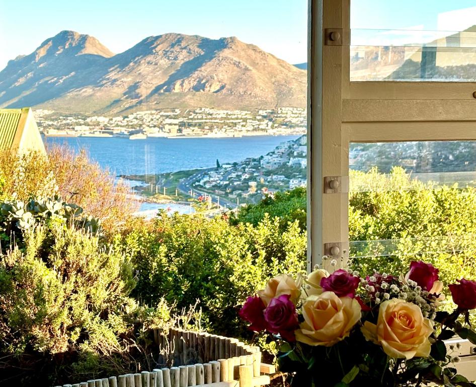 a vase of flowers in a window with a view at Bay Vista Garden Flat in Glencairn