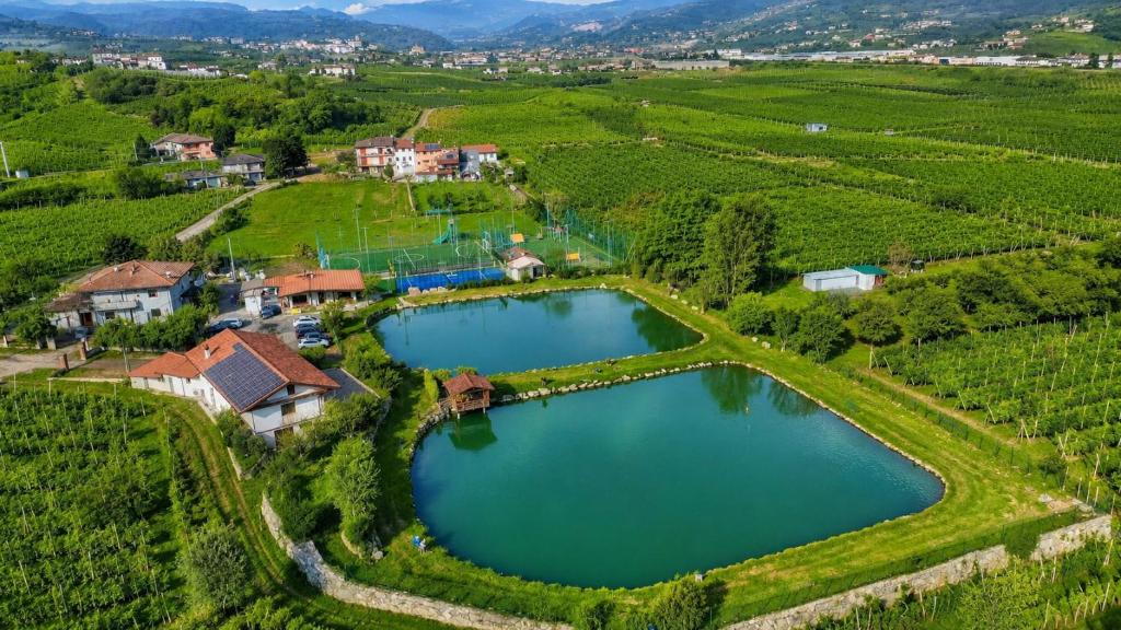 an aerial view of a estate with a lake in a vineyard at La Fontanella in Montecchia di Crosara