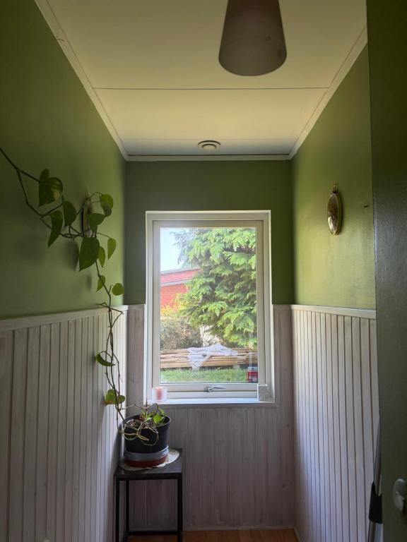 a green room with a window and a plant on a table at Omran House in Ystad