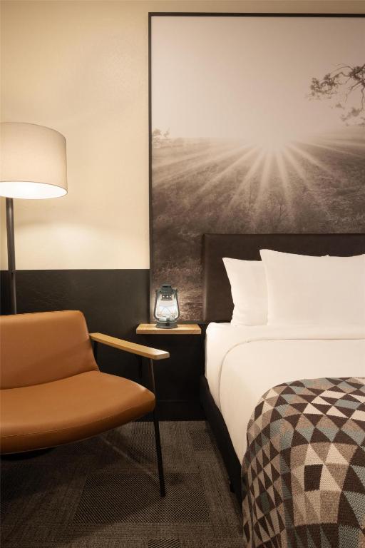 Mountain Modern Sedona, Tapestry Collection by Hilton - Camera King