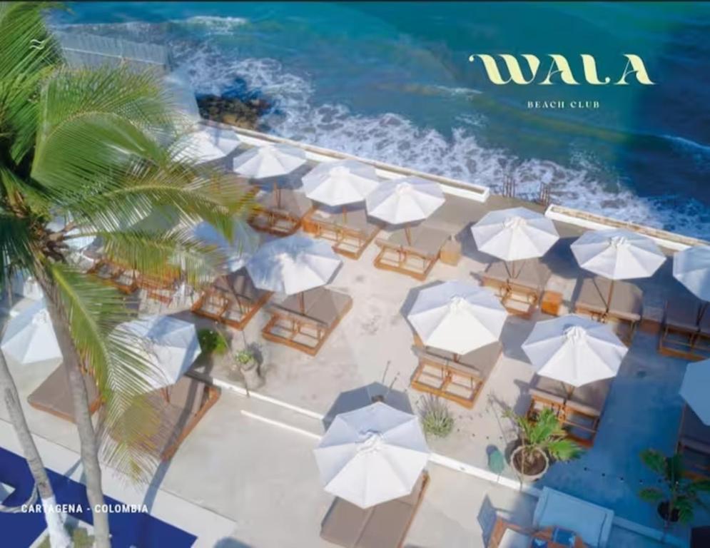 Wala beach club