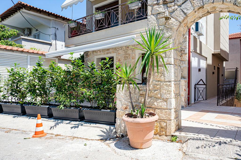 a potted plant in a pot next to a building at Afytos Rooms in Afitos