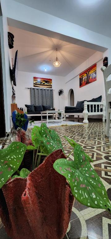 a living room with a couch and a plant at Charlie's Place Watamu in Watamu