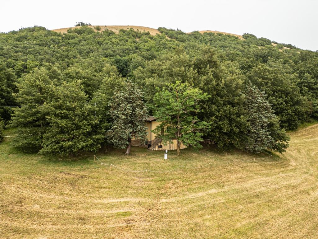 a house in the middle of a field with trees at Chalet Monte Alago - Baita in Umbria in Poggio Sorifa