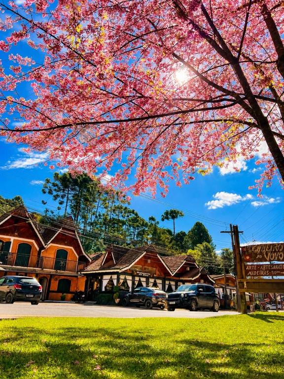 a tree with pink blossoms in front of a house at Pousada do Sino - 2 min do Capivari in Campos do Jordão