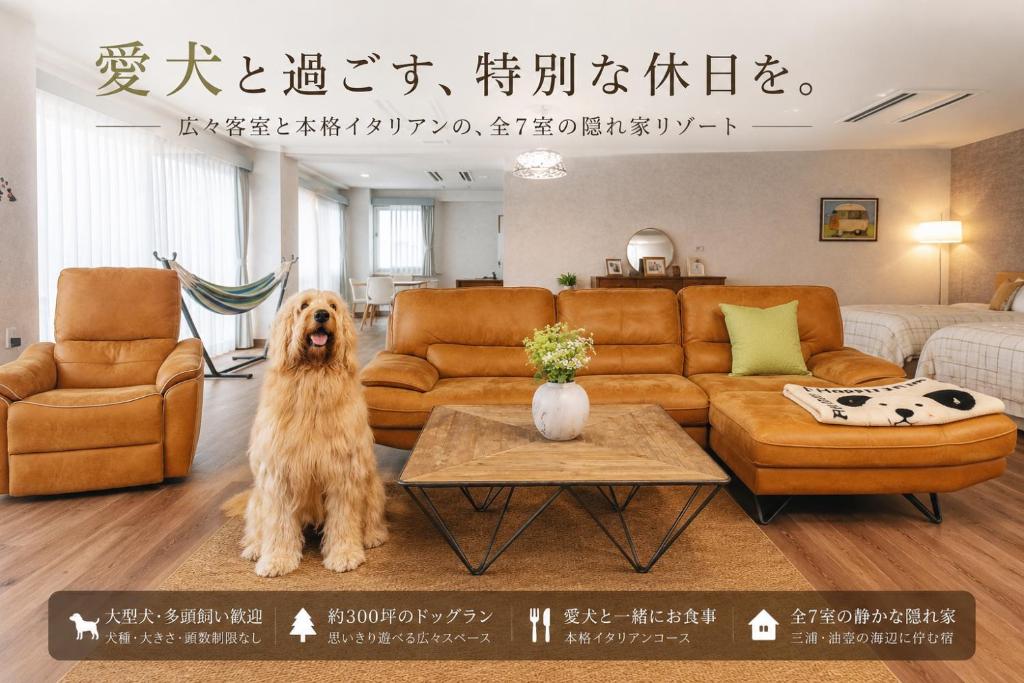 a dog is sitting in a living room at DokiDoggie油壺globe in Miura