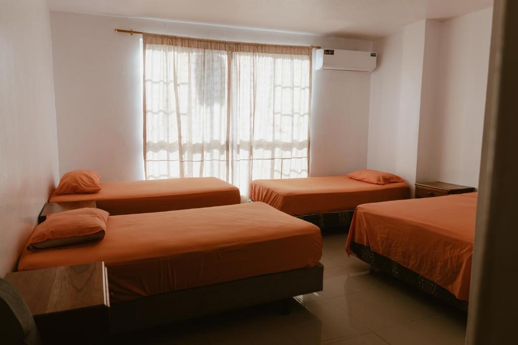 a room with three beds and a window at PELICAN TOURS in Puerto Baquerizo Moreno